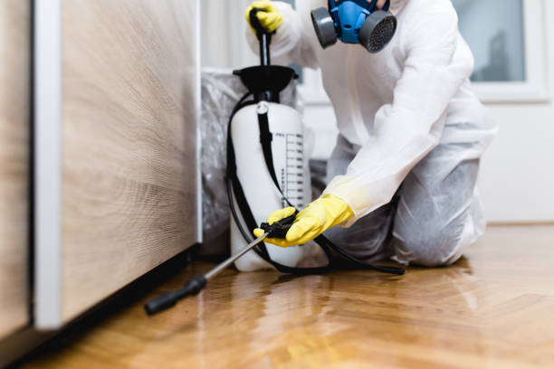 Trusted Forest Hill, TX Pest Control Experts