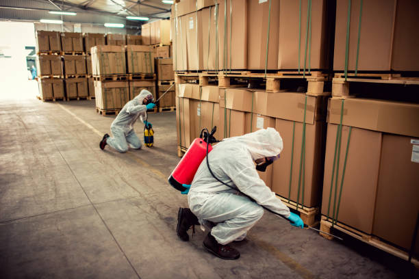 Best Bed Bug Extermination  in Forest Hill, TX