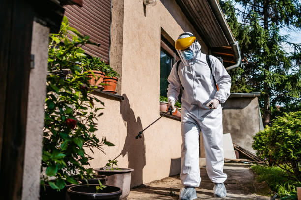 Best Pest Prevention Services  in Forest Hill, TX