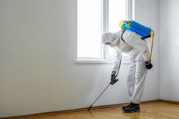 Best Pest Prevention Services  in Forest Hill, TX