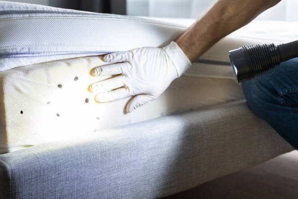 Best Affordable Pest Control Services  in Forest Hill, TX