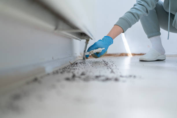 Best Mosquito Control Services  in Forest Hill, TX